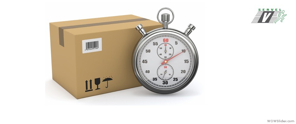 Servicio Personalizado